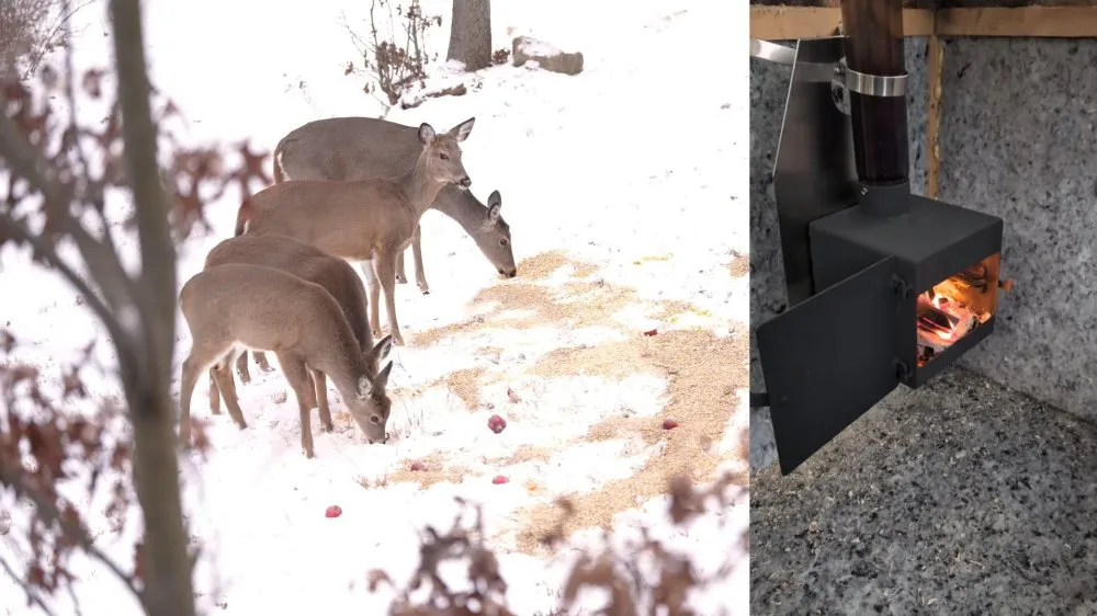 New Year's Day Video